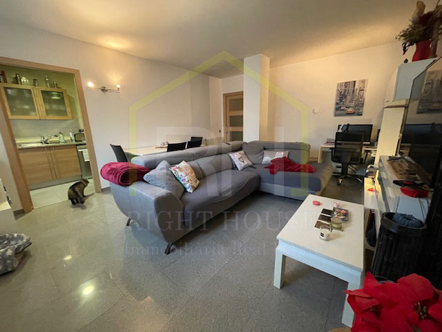 Central apartment in La Massana