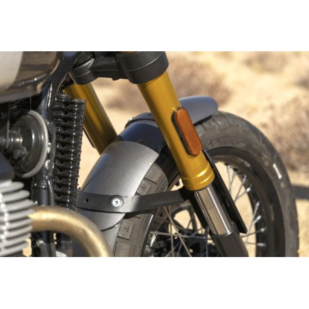 NEW ROYAL ENFIELD BEAR 650