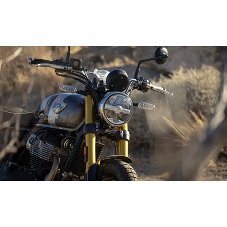 NEW ROYAL ENFIELD BEAR 650