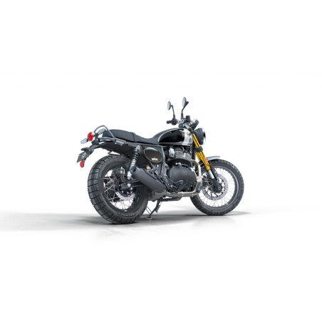 NEW ROYAL ENFIELD BEAR 650