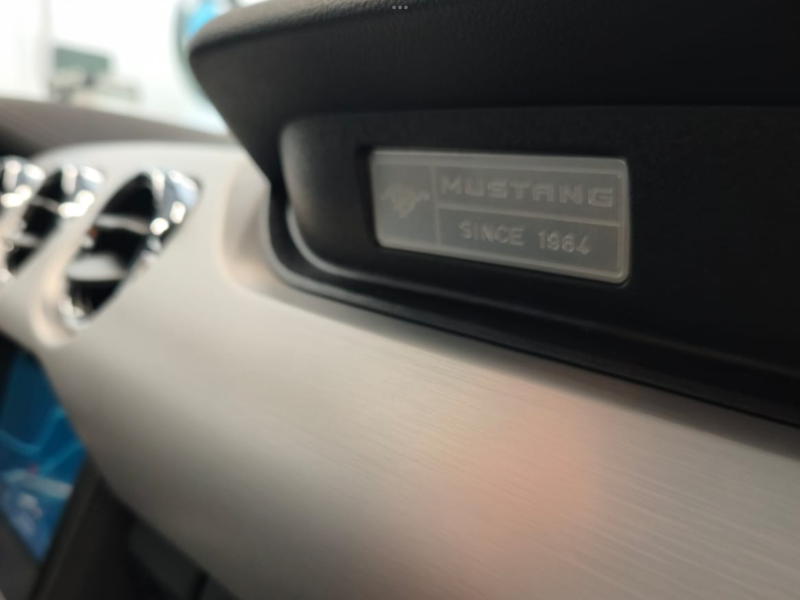 FORD MUSTANG 5.0 V8
