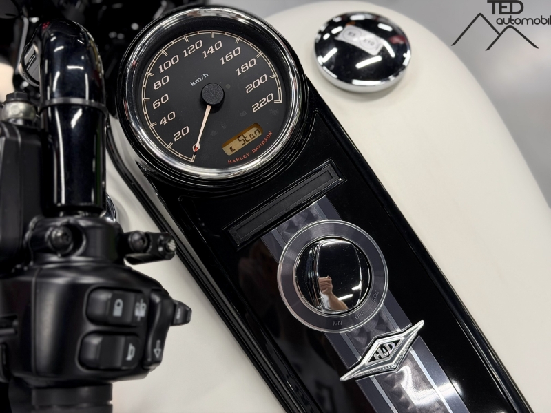 Harley-Davidson Road King Special