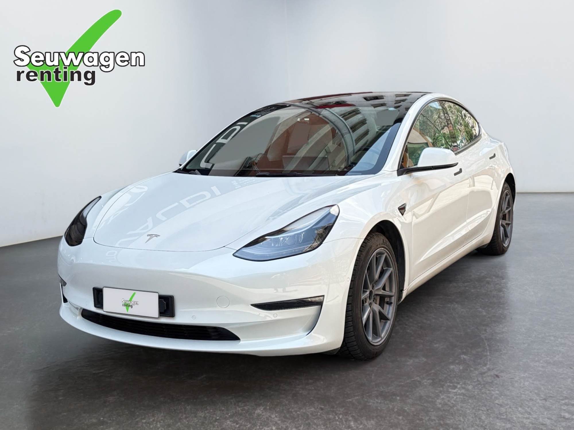 Tesla Model 3 Dual Motor Long Range