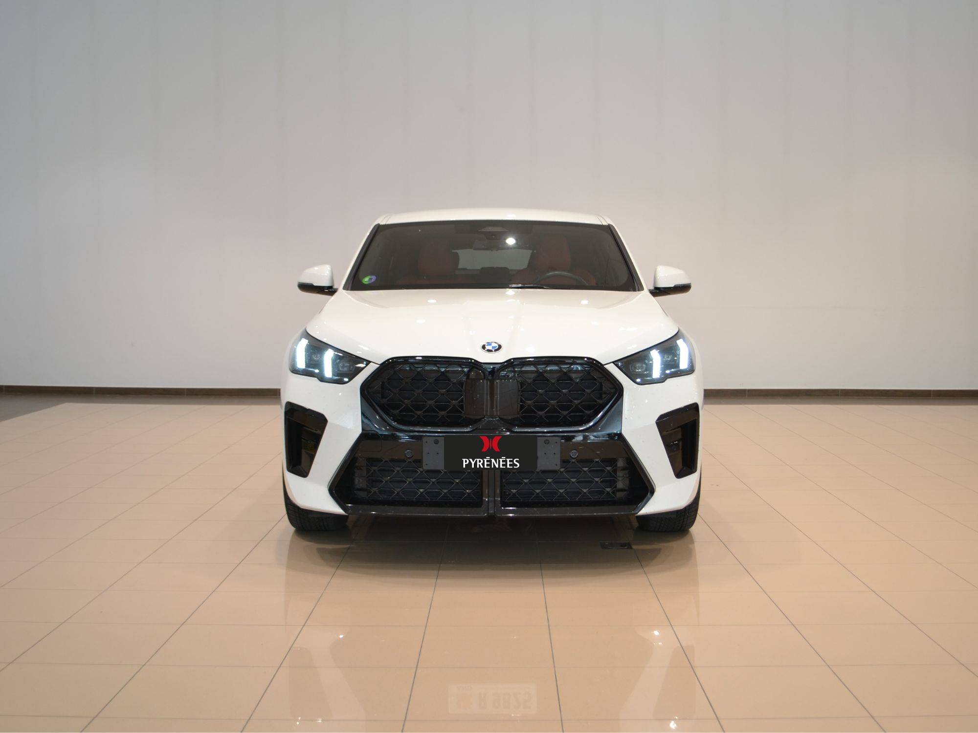 BMW X2 xDrive20d