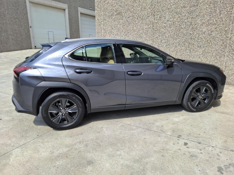 LEXUS UX300H PLUS 2RM 199CV