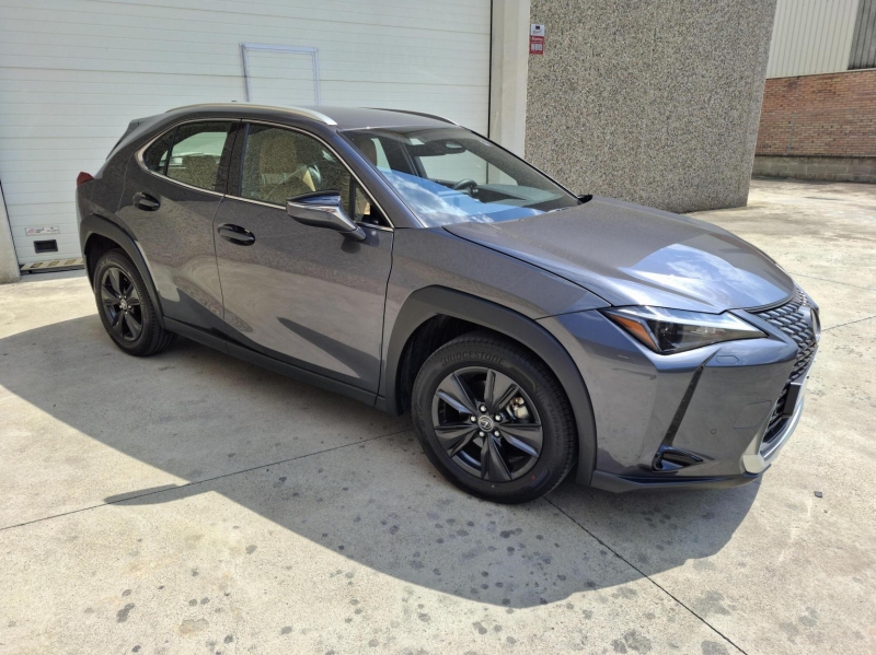 LEXUS UX300H PLUS 2RM 199CV