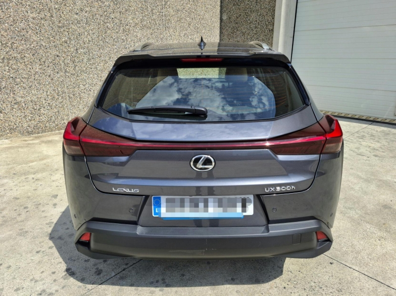 LEXUS UX300H PLUS 2RM 199CV