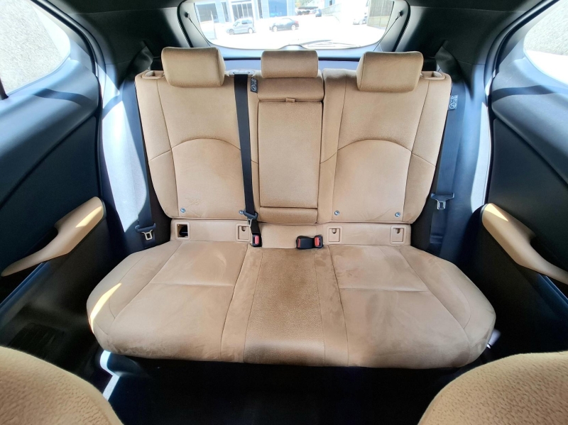 LEXUS UX300H PLUS 2RM 199CV