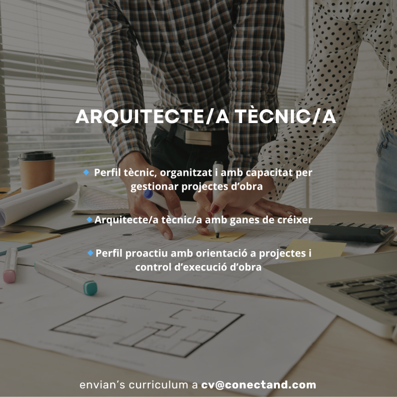 Technical Architect